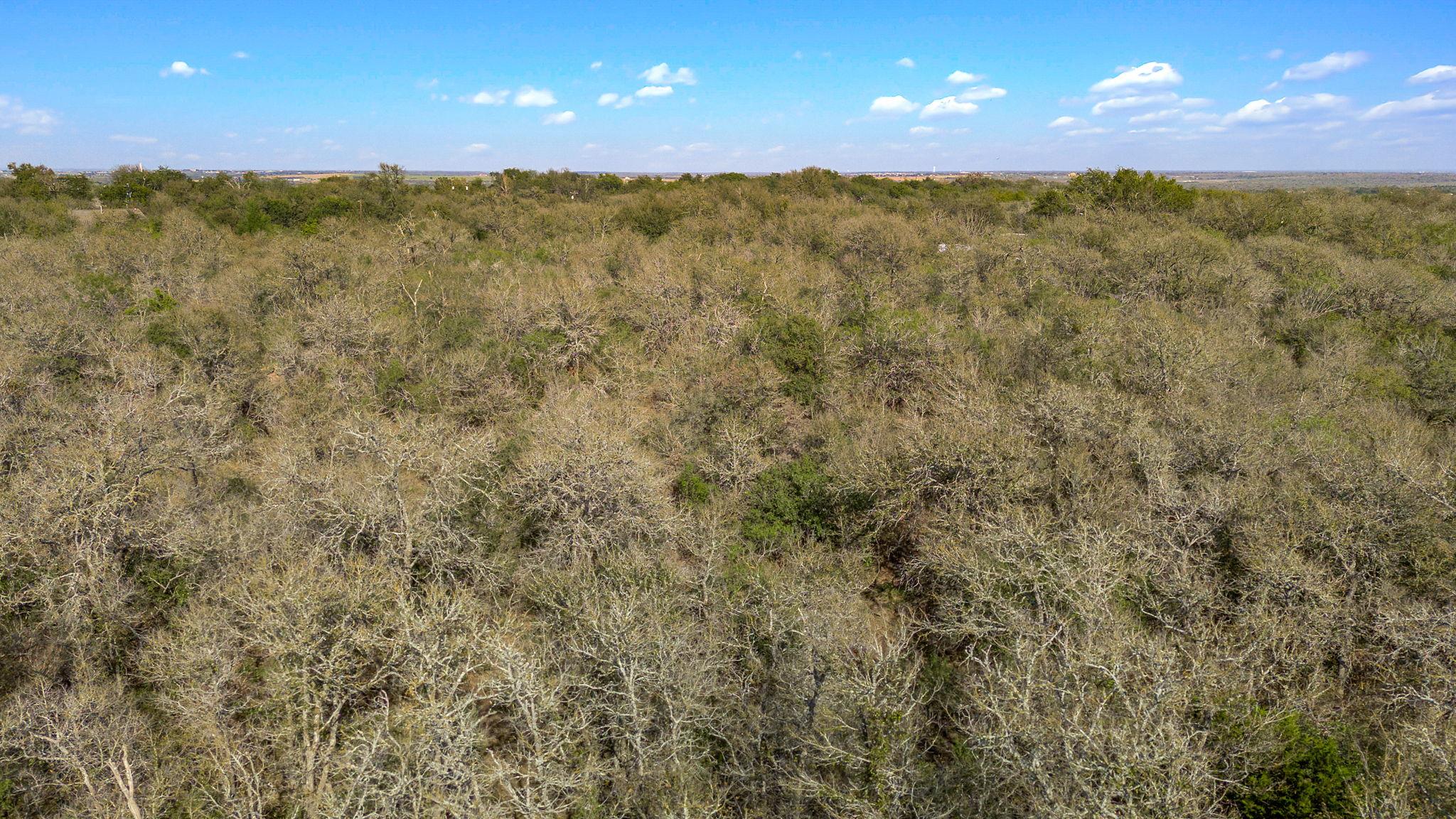 1710 Bock Road Buda TX 78610