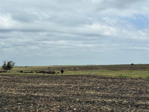 Tbd County Road 357 Granger TX 76530