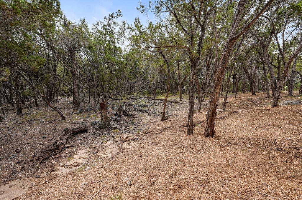000 Rancho Grande Drive Wimberley TX 78676