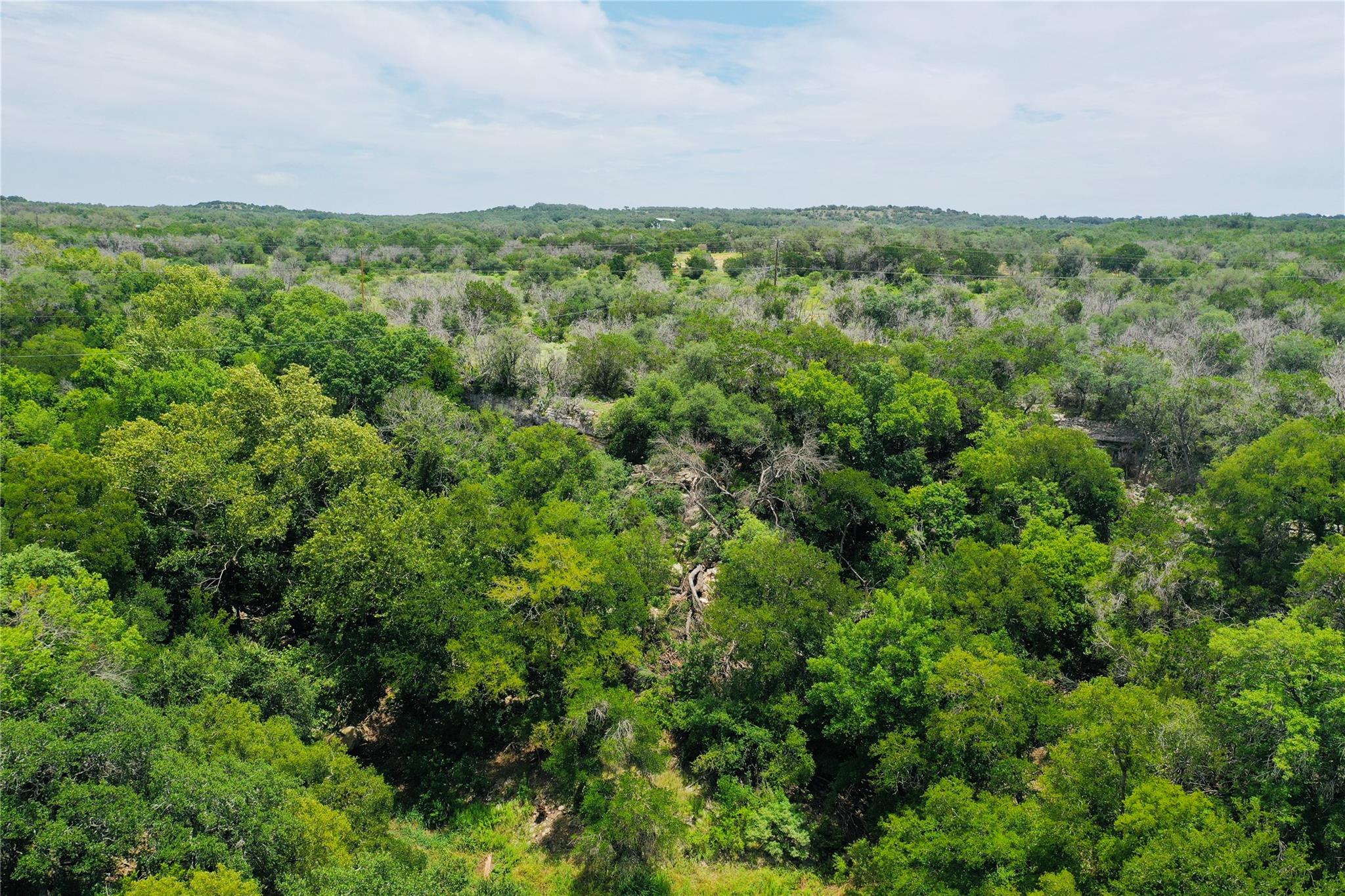 23601 Old Ferry Road Spicewood TX 78669