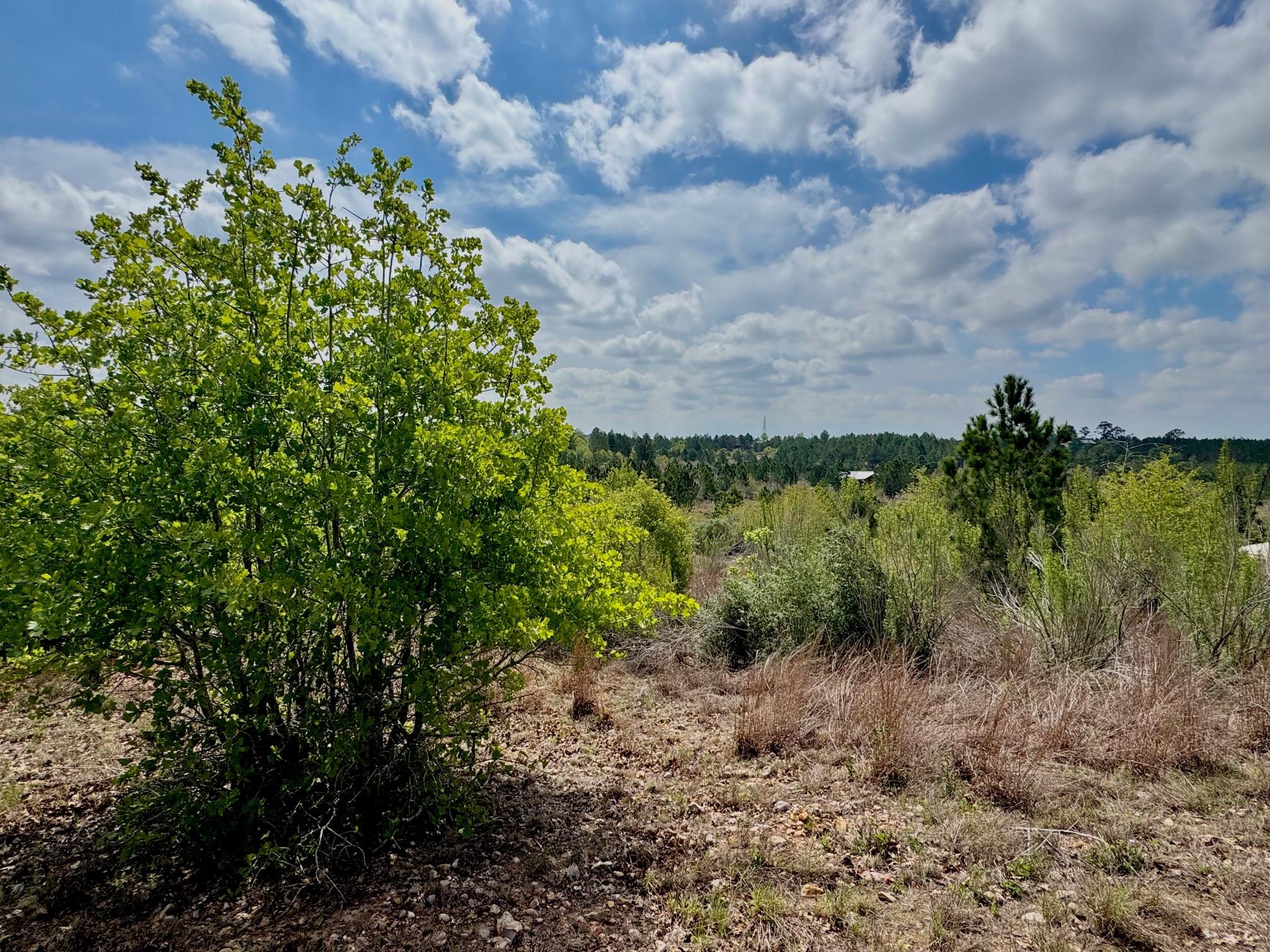 Tbd Hudson Road Smithville TX 78957