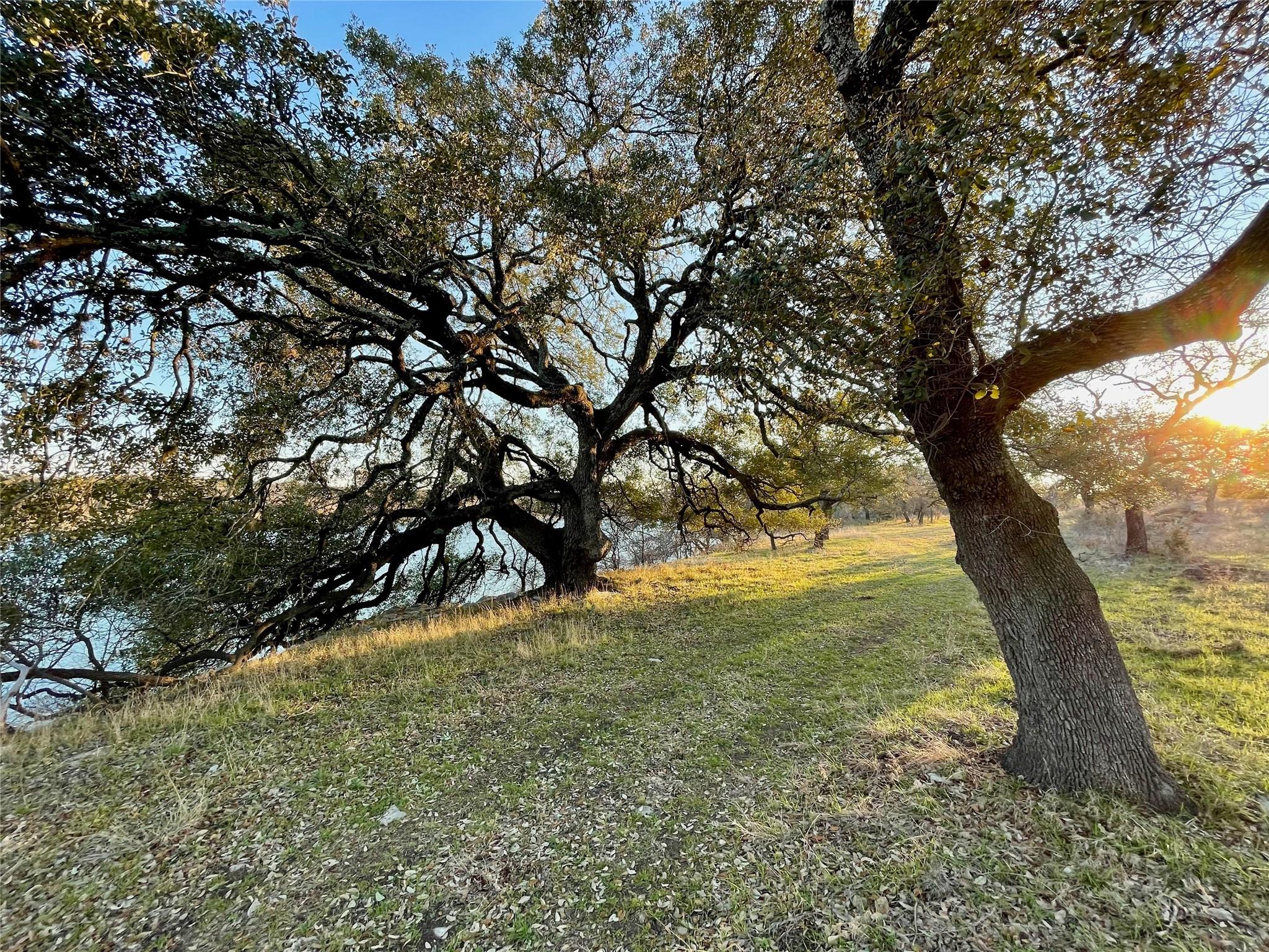 Lot 5 Colorado Canyon Drive Marble Falls TX 78654