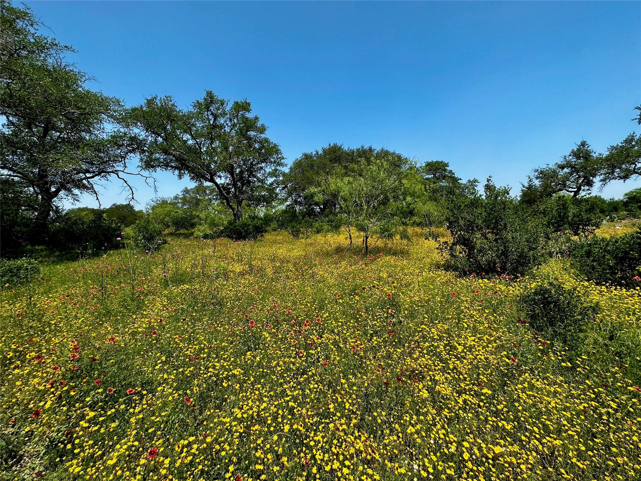 Lot 5 Colorado Canyon Drive Marble Falls TX 78654