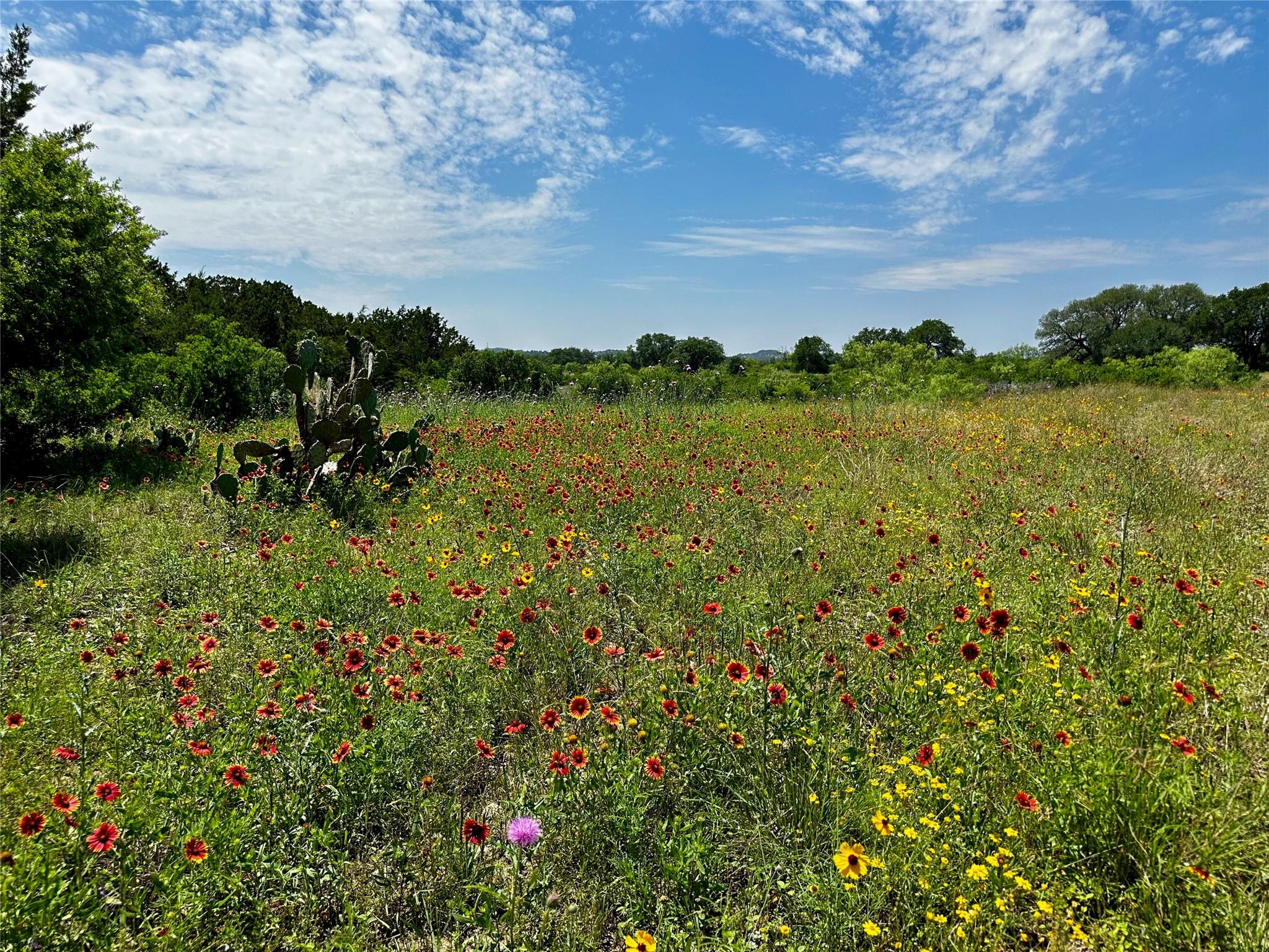Lot 5 Colorado Canyon Drive Marble Falls TX 78654