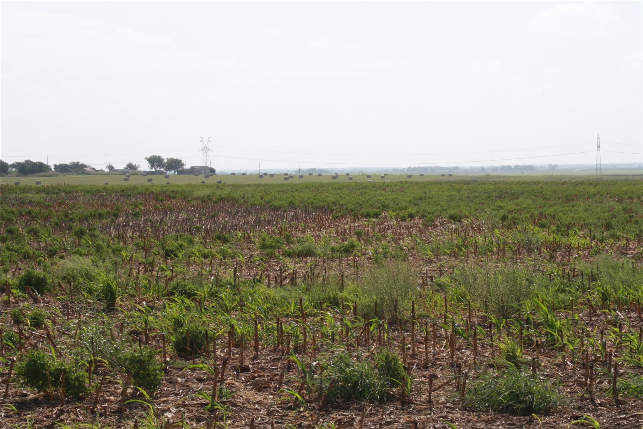 Tbd Gooseneck Road Bartlett TX 76511