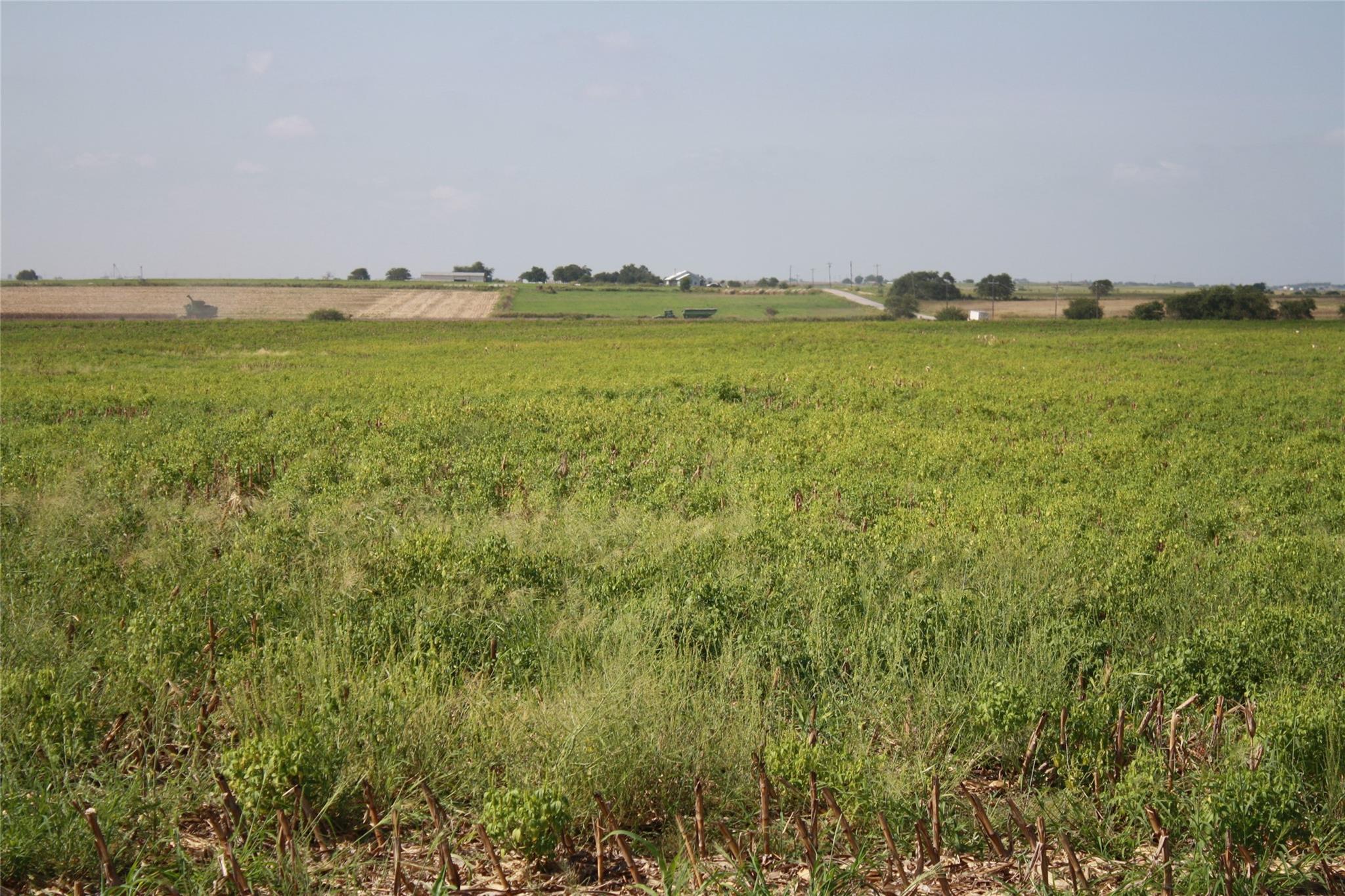 Tbd Gooseneck Road Bartlett TX 76511