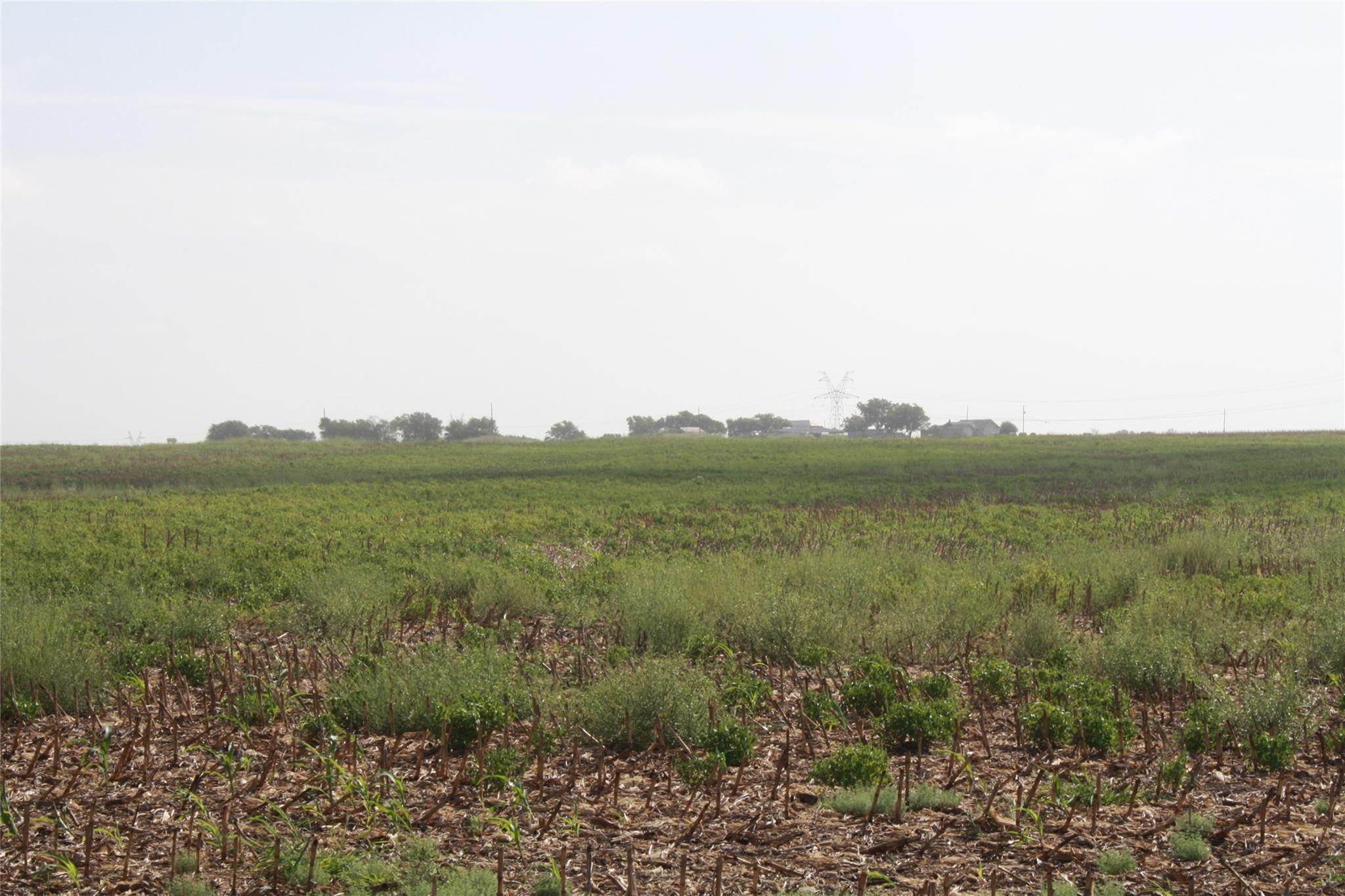 Tbd Gooseneck Road Bartlett TX 76511