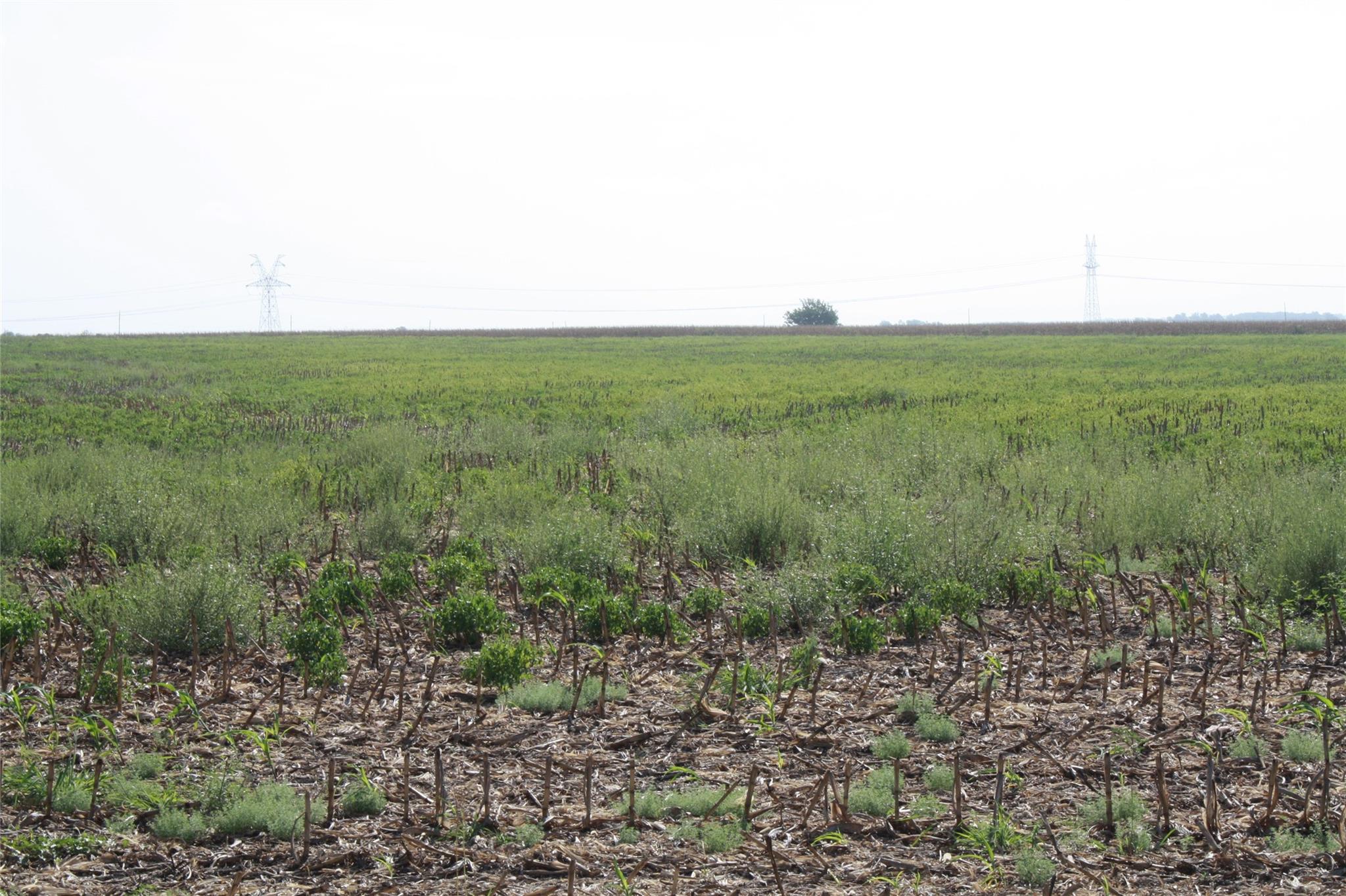 Tbd Gooseneck Road Bartlett TX 76511