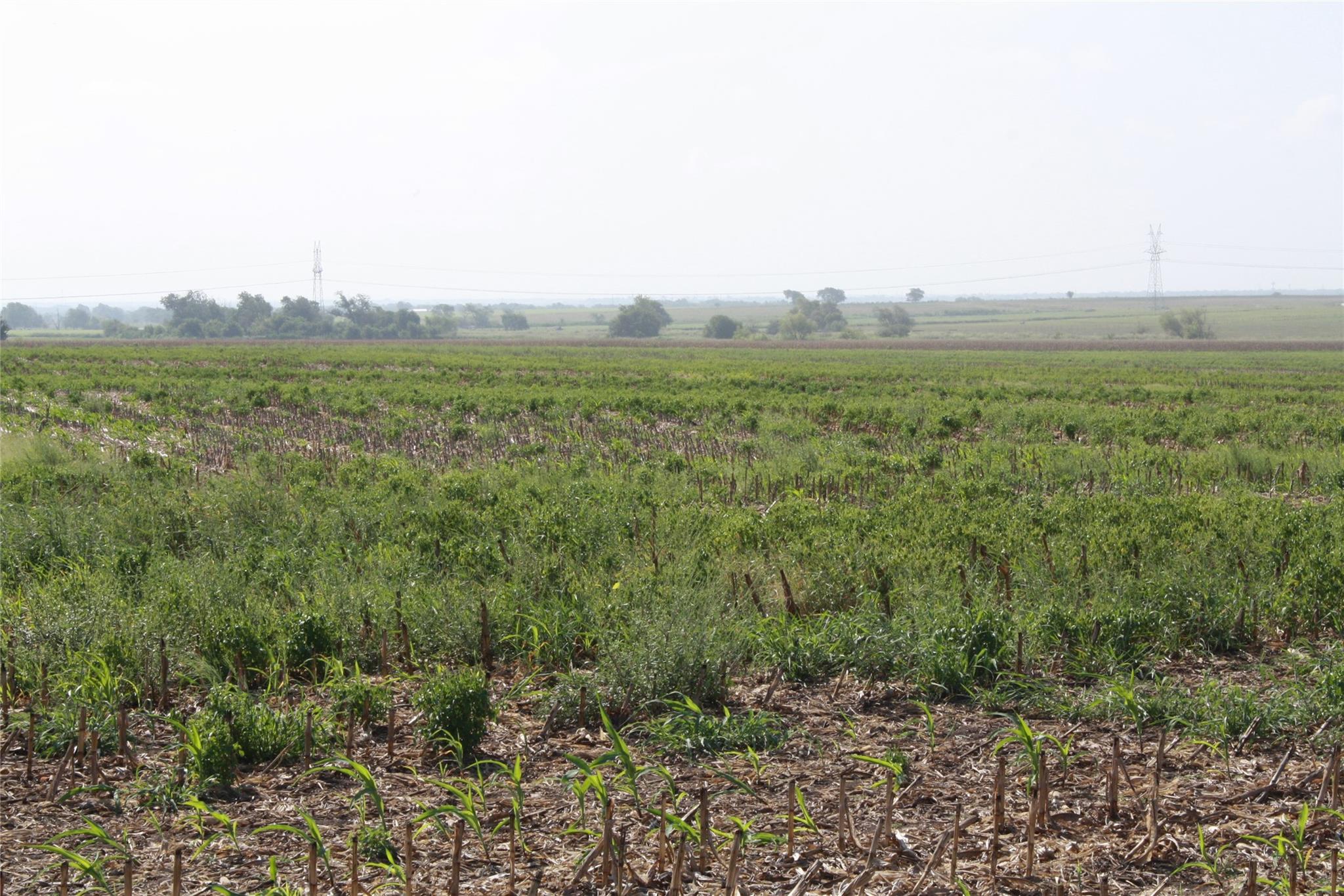 Tbd Gooseneck Road Bartlett TX 76511