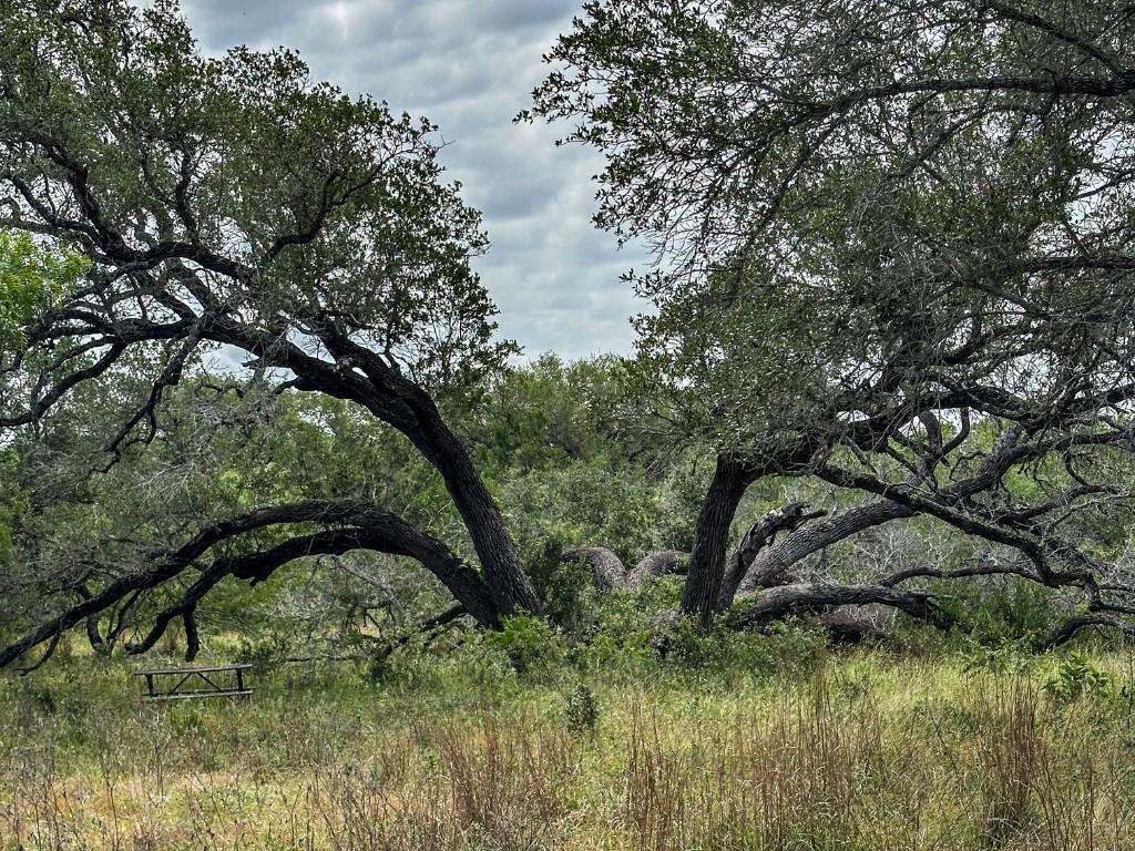 502 Robertson Road Smiley TX 78159