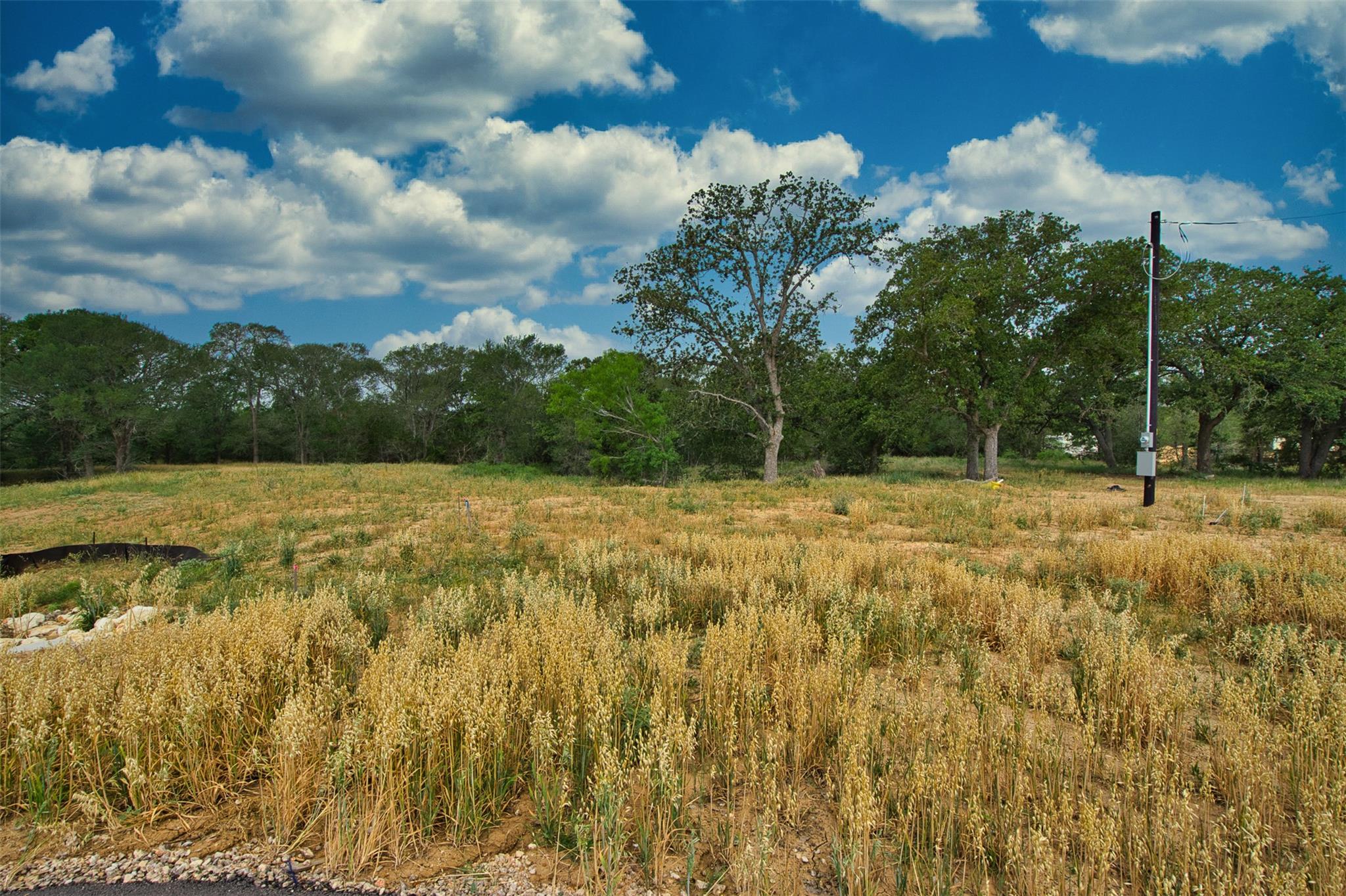 109 Grace Lane Dale TX 78616