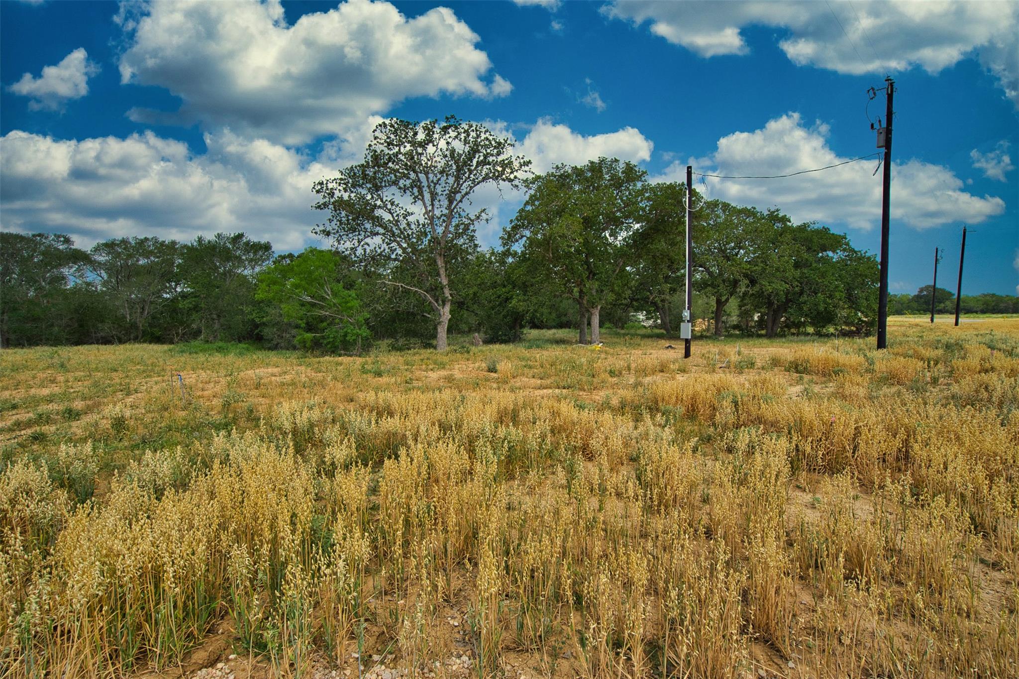 109 Grace Lane Dale TX 78616