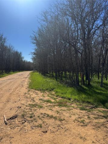 Lot 500 Kaaawa Lane Bastrop TX 78602