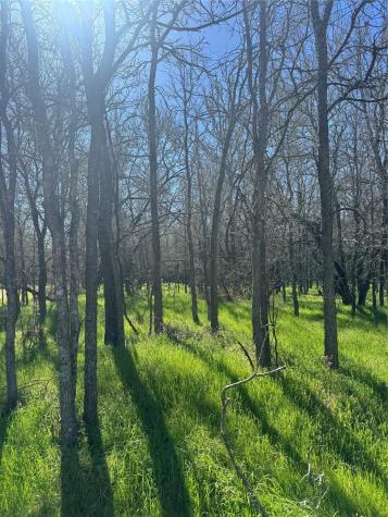 Lot 500 Kaaawa Lane Bastrop TX 78602