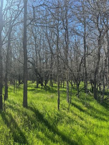 Lot 500 Kaaawa Lane Bastrop TX 78602