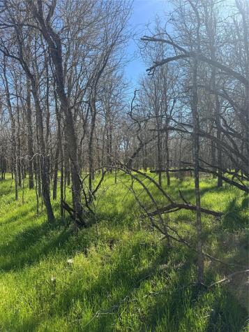 Lot 500 Kaaawa Lane Bastrop TX 78602
