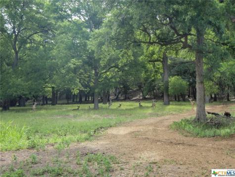 636 Angelica Vista Canyon Lake TX 78133