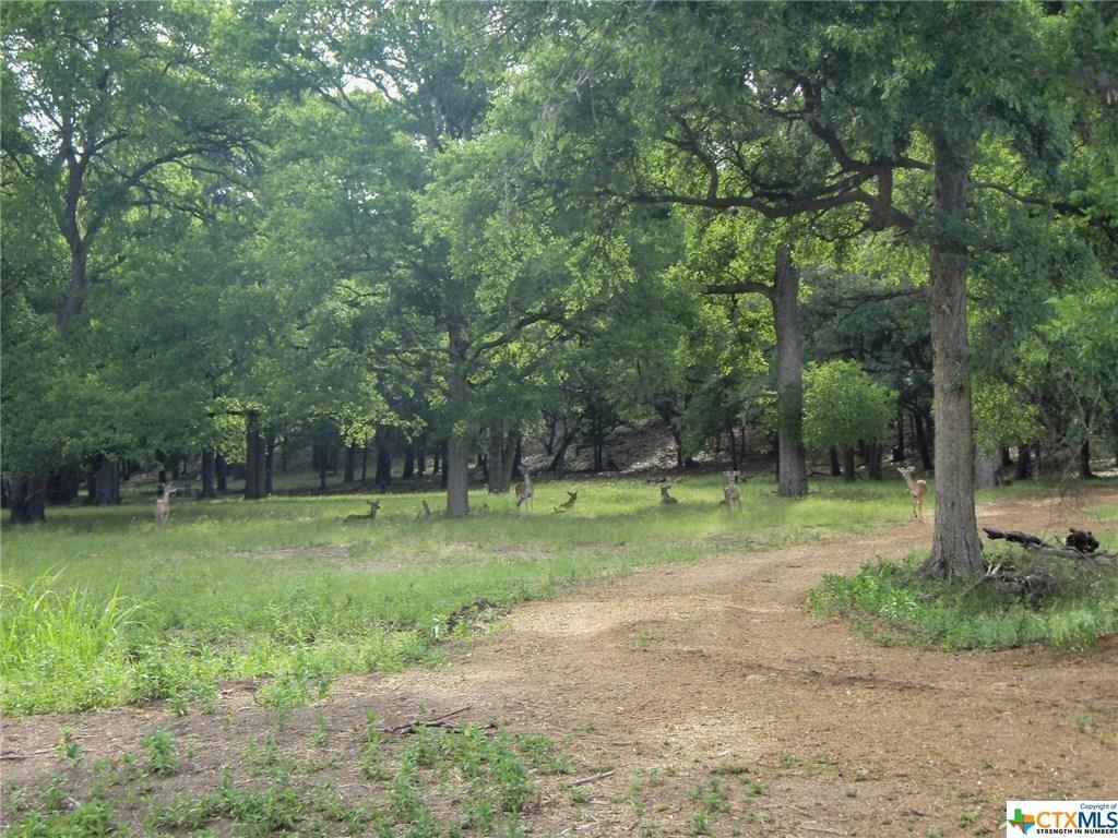 636 Angelica Vista Canyon Lake TX 78133