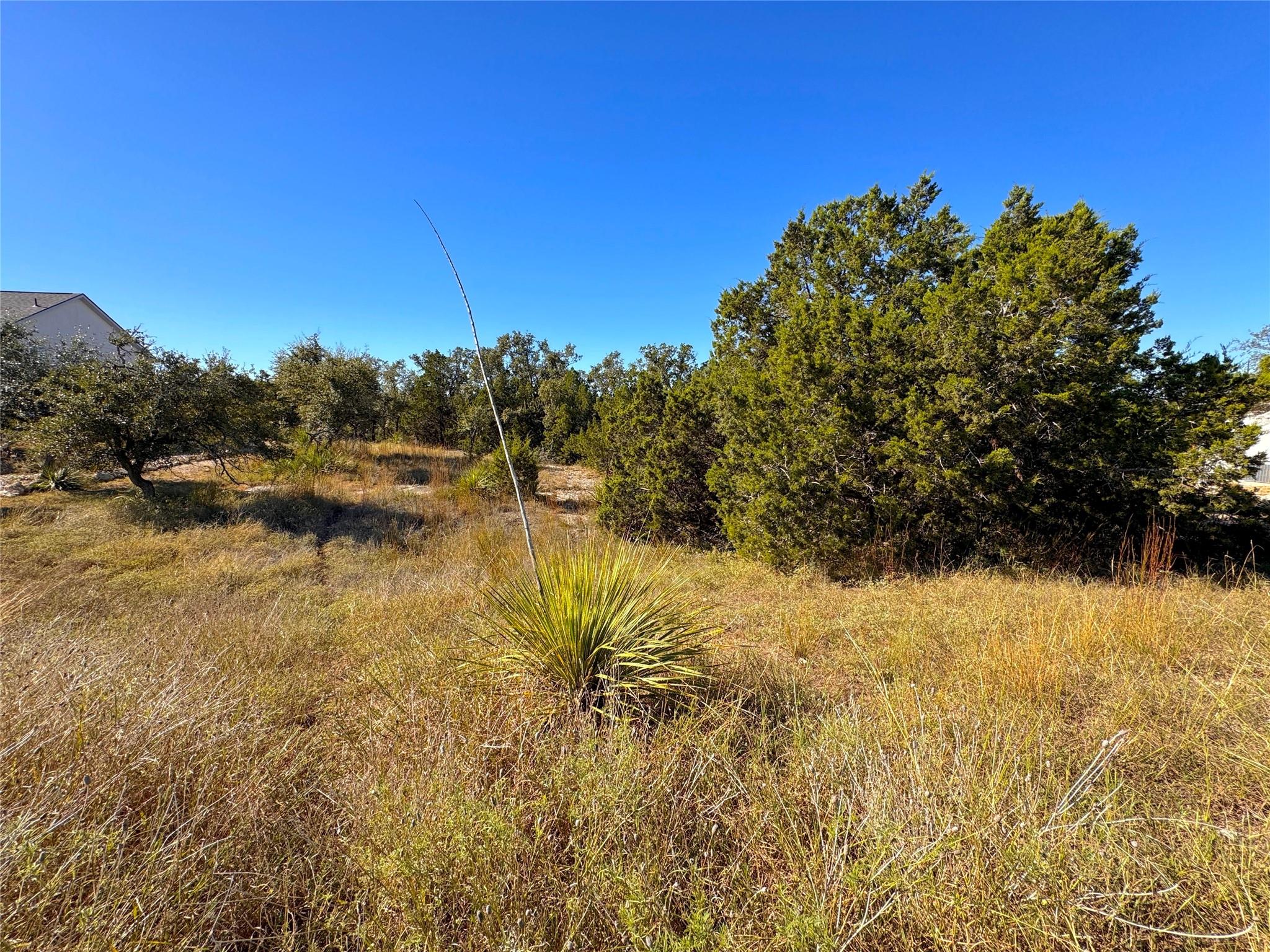 636 Angelica Vista Canyon Lake TX 78133