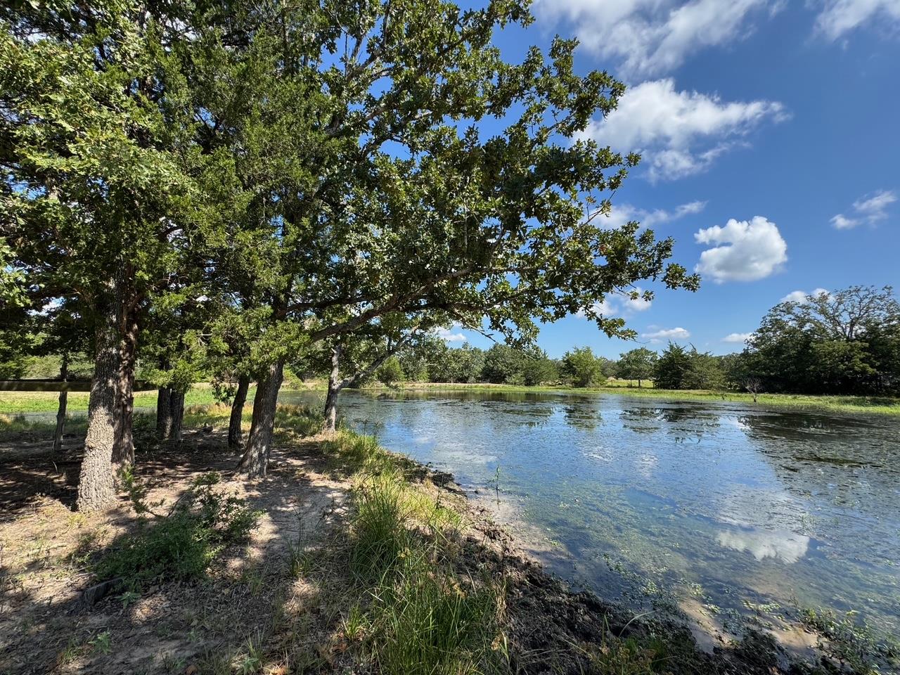 13115 Schoenemann Road Carmine TX 78932