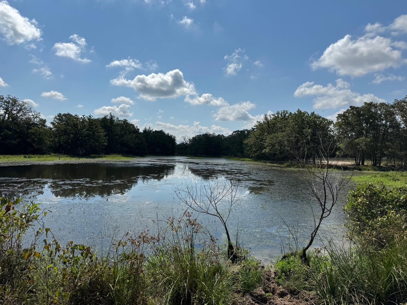 13115 Schoenemann Road Carmine TX 78932