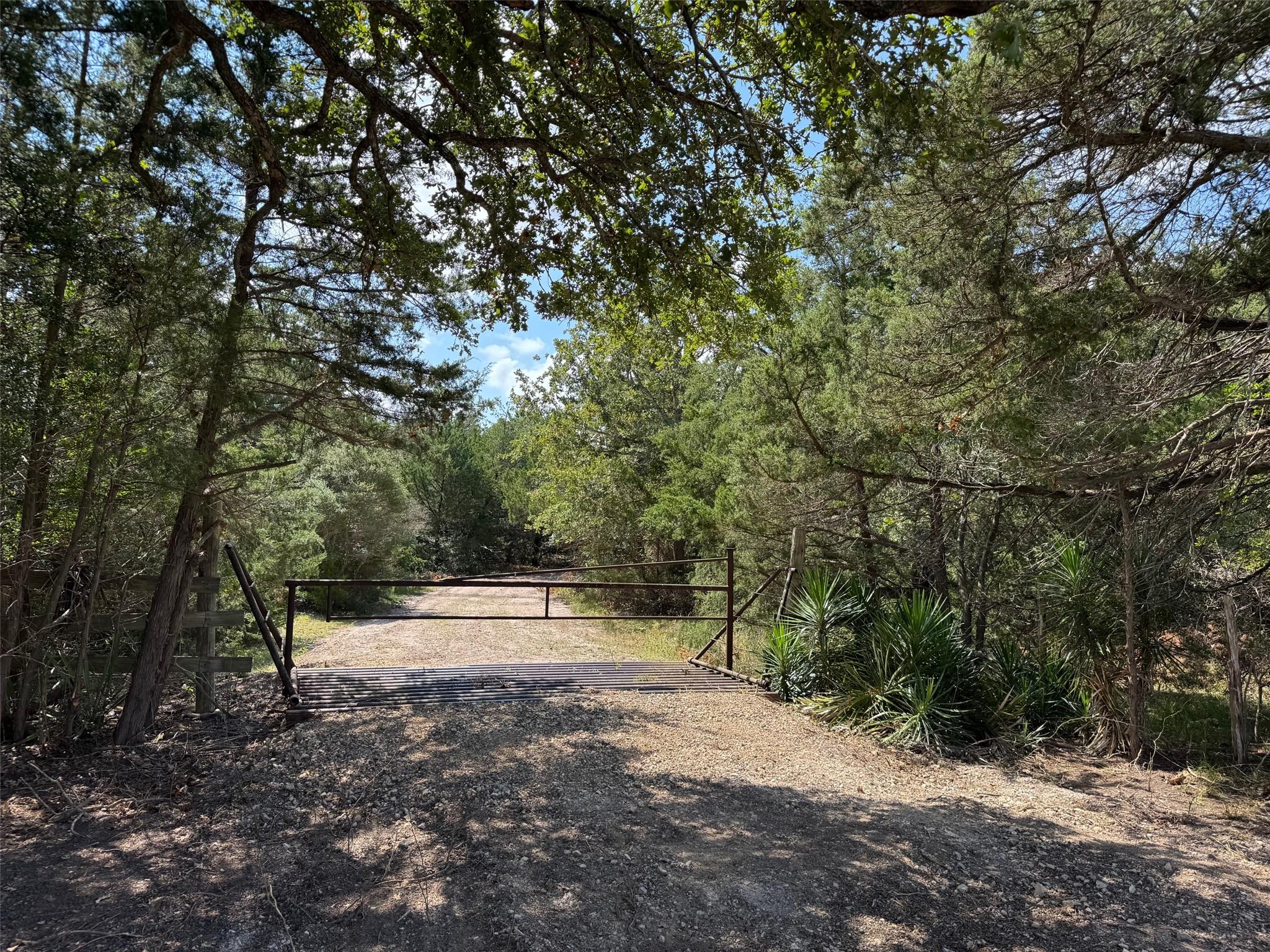 13115 Schoenemann Road Carmine TX 78932