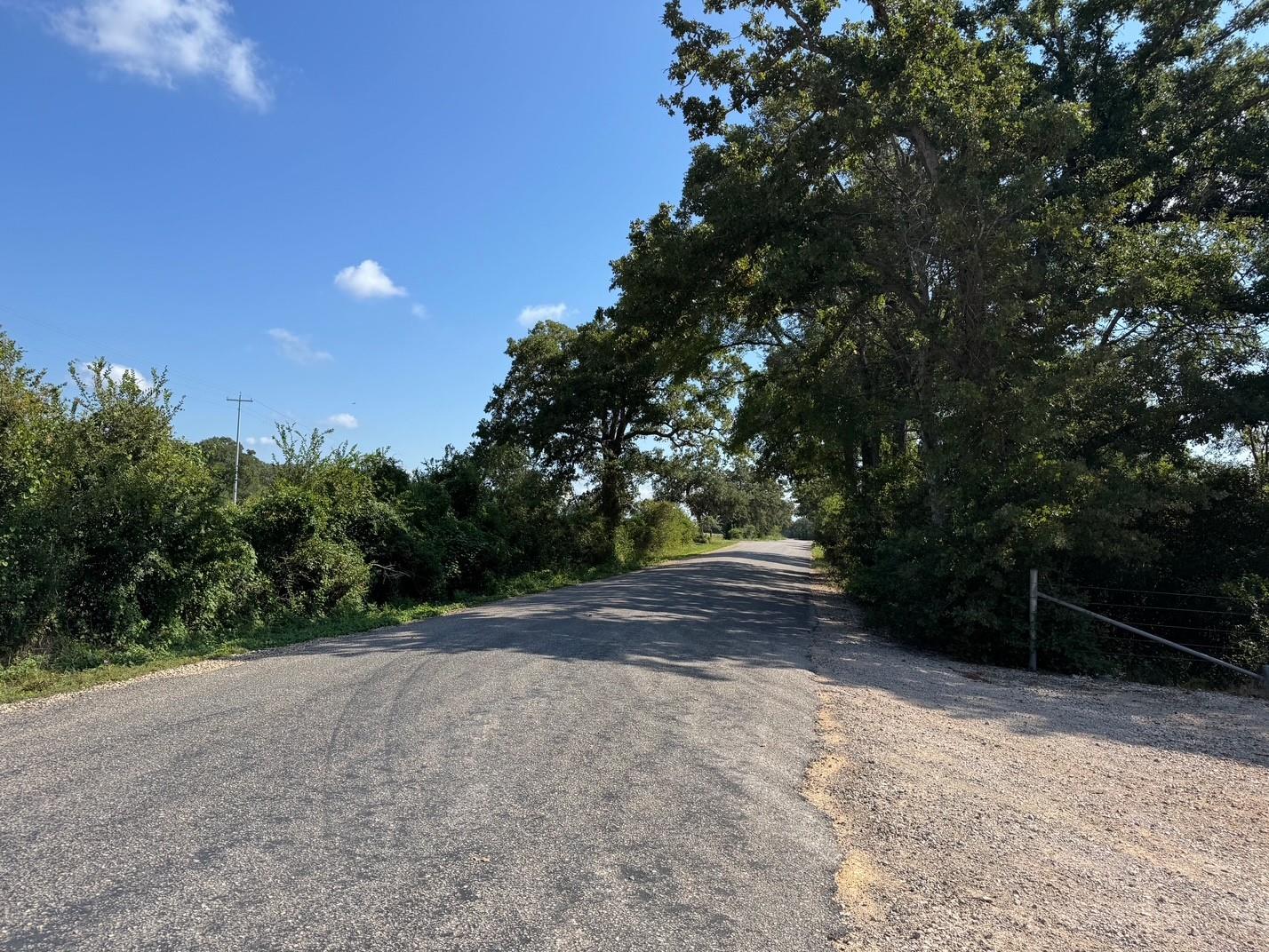 13115 Schoenemann Road Carmine TX 78932