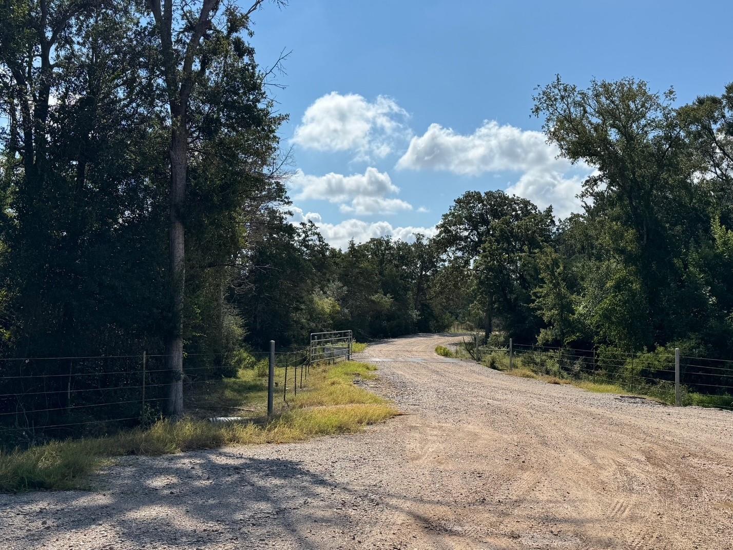 13115 Schoenemann Road Carmine TX 78932