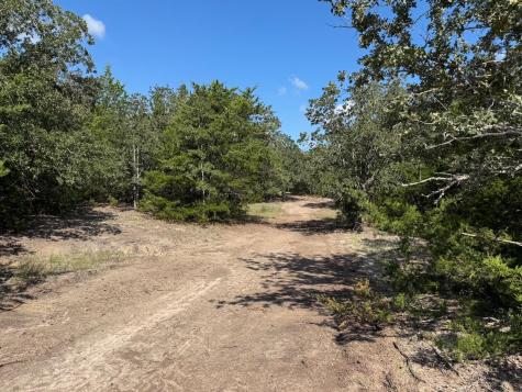 13115 Schoenemann Road Carmine TX 78932