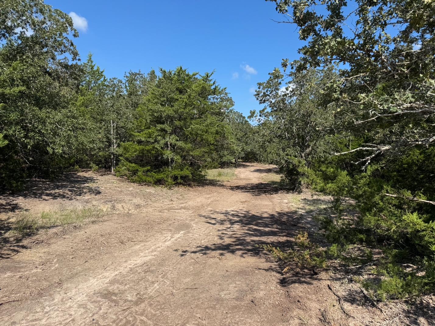 13115 Schoenemann Road Carmine TX 78932