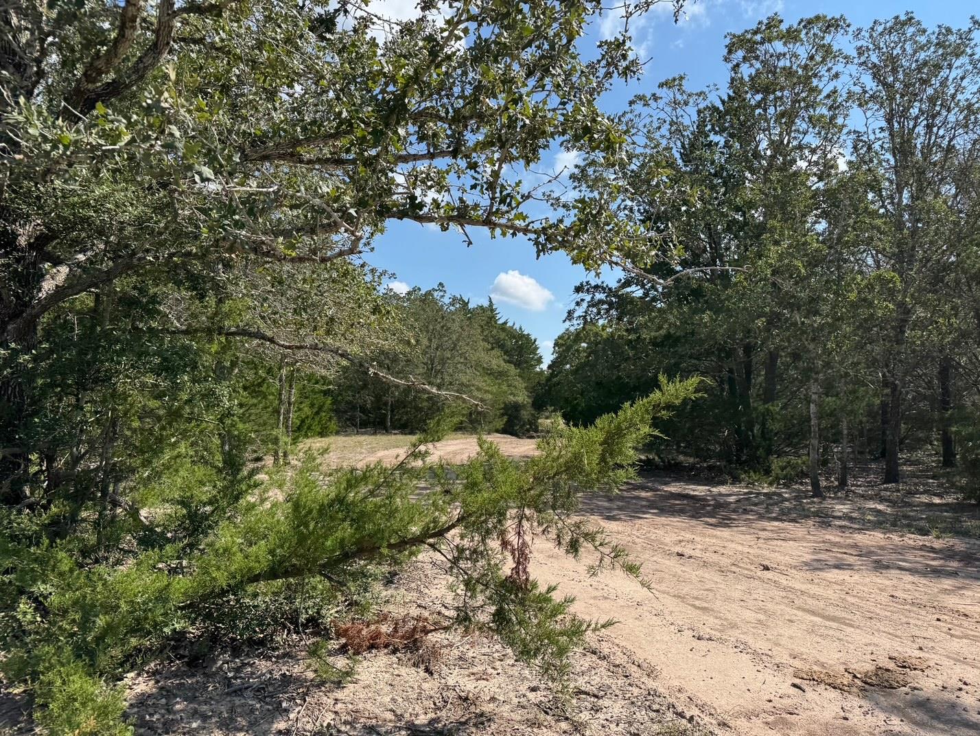 13115 Schoenemann Road Carmine TX 78932