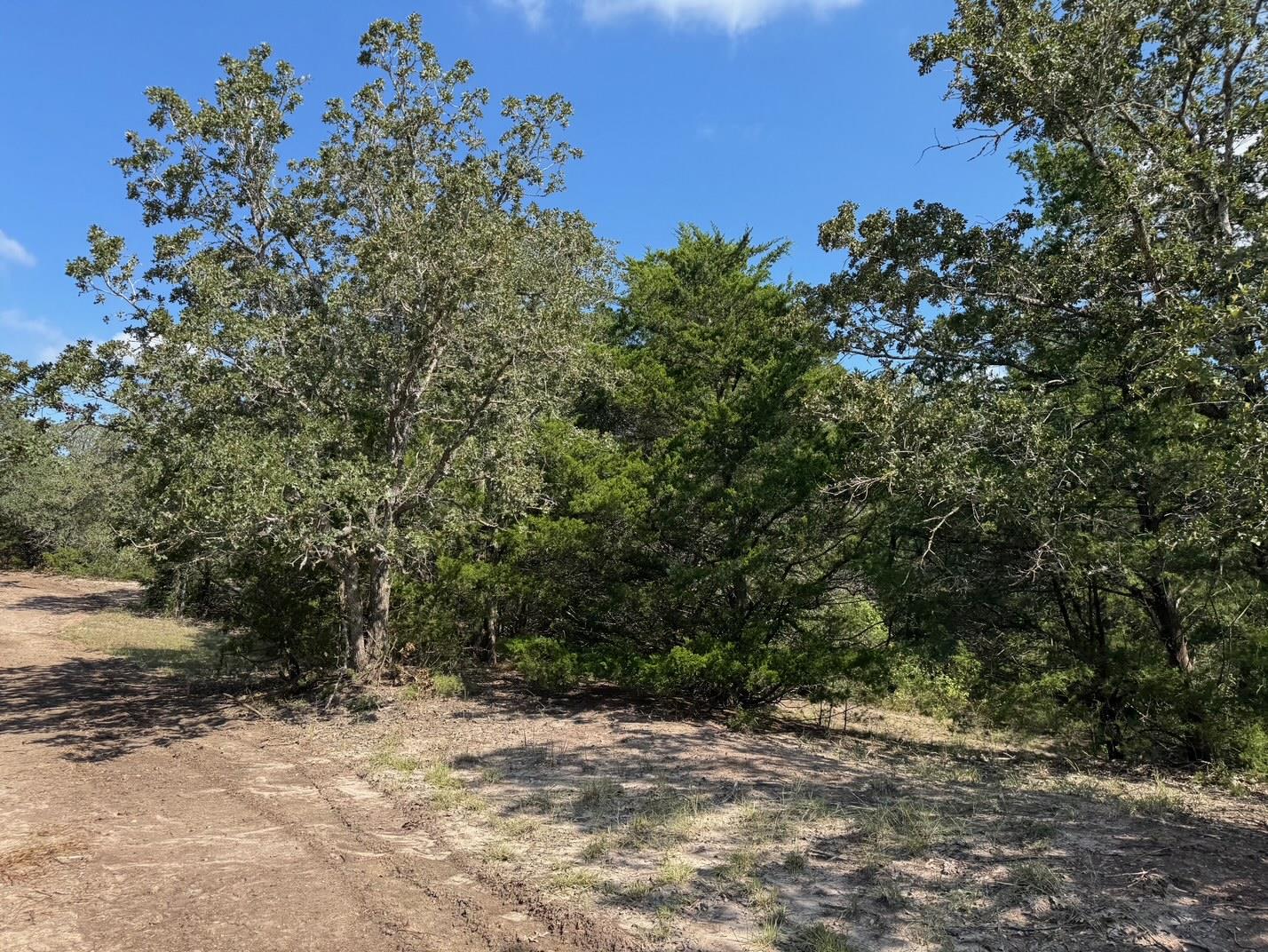 13115 Schoenemann Road Carmine TX 78932