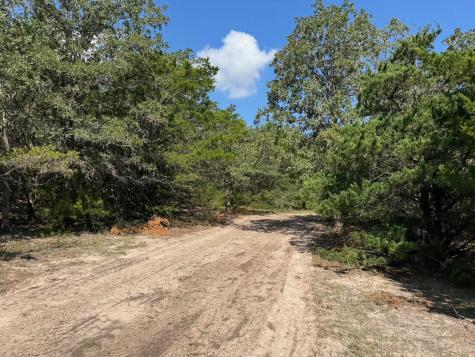 13115 Schoenemann Road Carmine TX 78932