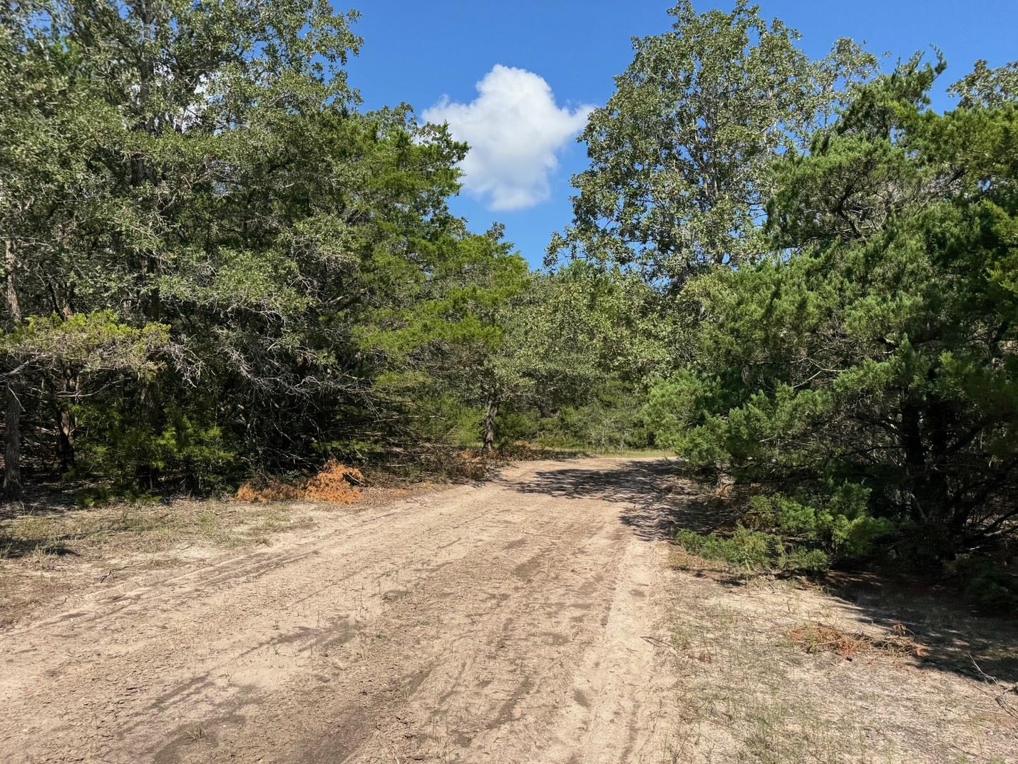 13115 Schoenemann Road Carmine TX 78932