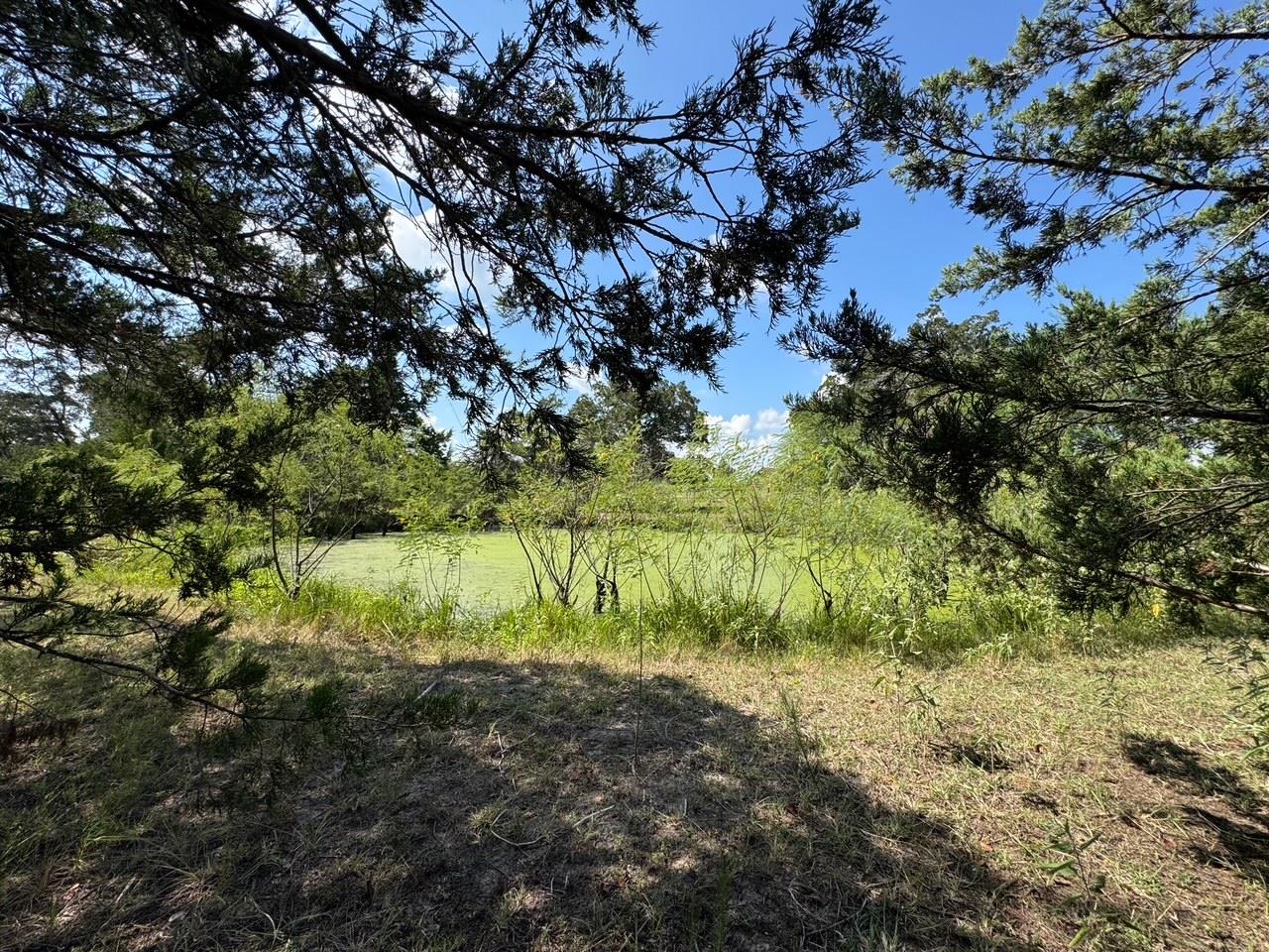 13115 Schoenemann Road Carmine TX 78932