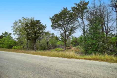 Tbd N Gaines Road Cedar Creek TX 78602