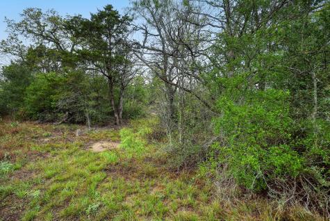 Tbd N Gaines Road Cedar Creek TX 78602