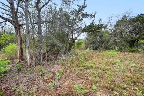 Tbd N Gaines Road Cedar Creek TX 78602
