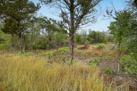 Tbd N Gaines Road Cedar Creek TX 78602