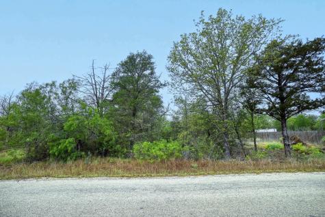 Tbd N Gaines Road Cedar Creek TX 78602
