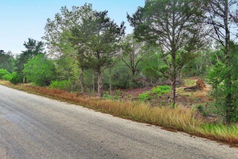 Tbd N Gaines Road Cedar Creek TX 78602