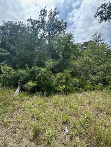 0 Tbd Lot 102 And Lot 100 Ripple Brook Drive Bastrop TX 78602