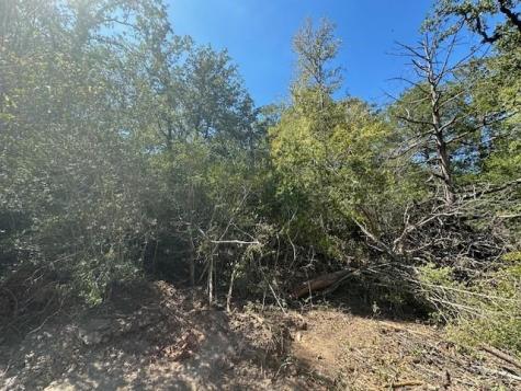 0 Tbd Lot 102 And Lot 100 Ripple Brook Drive Bastrop TX 78602