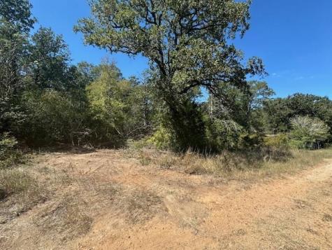 0 Tbd Lot 102 And Lot 100 Ripple Brook Drive Bastrop TX 78602