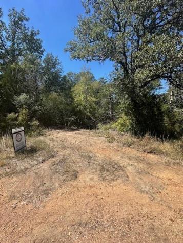 0 Tbd Lot 102 And Lot 100 Ripple Brook Drive Bastrop TX 78602