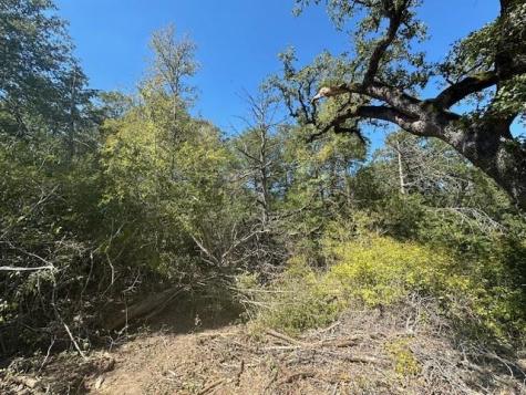 0 Tbd Lot 102 And Lot 100 Ripple Brook Drive Bastrop TX 78602