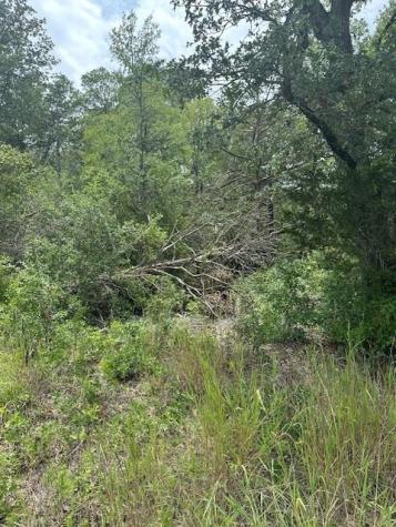 0 Tbd Lot 102 And Lot 100 Ripple Brook Drive Bastrop TX 78602