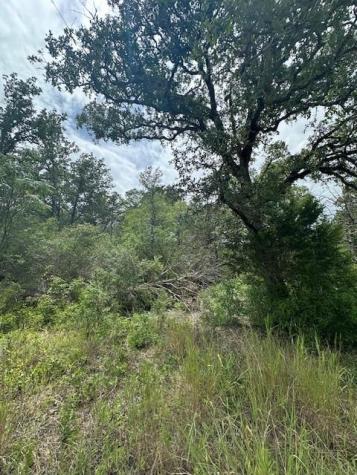 0 Tbd Lot 102 And Lot 100 Ripple Brook Drive Bastrop TX 78602