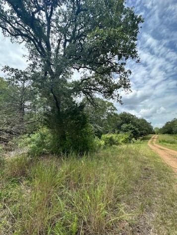 0 Tbd Lot 102 And Lot 100 Ripple Brook Drive Bastrop TX 78602