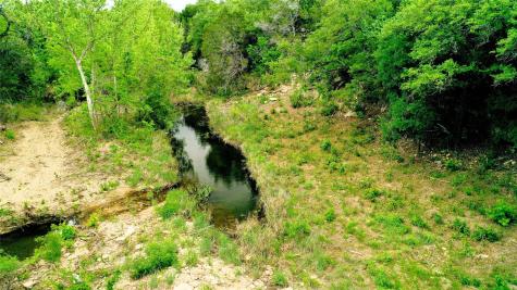 Tbd S Fm 1174 Bertram TX 78605